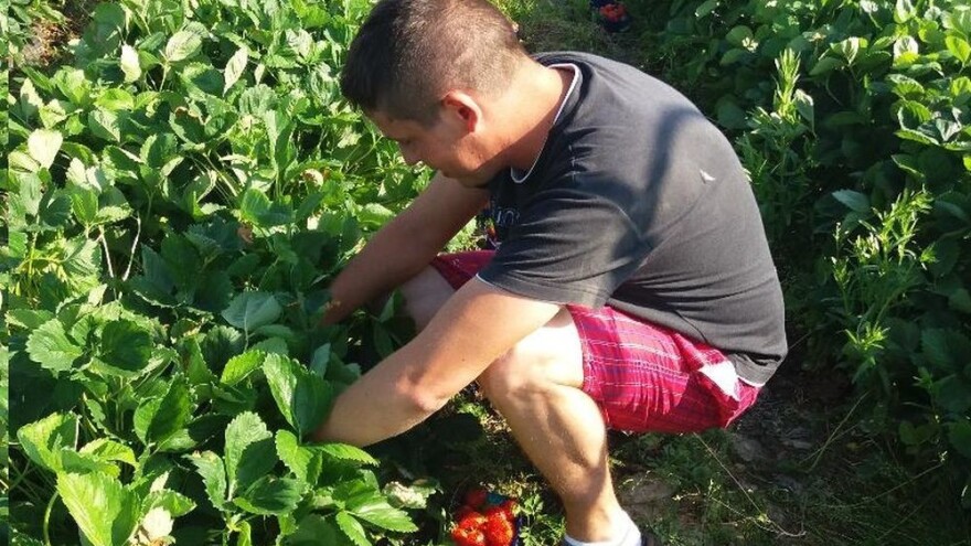 OPG Škorvaga: Dosadili su vam proizvodi s kišnih kineskih ravnica? Potražite proizvode s bogate slavonske ravnice