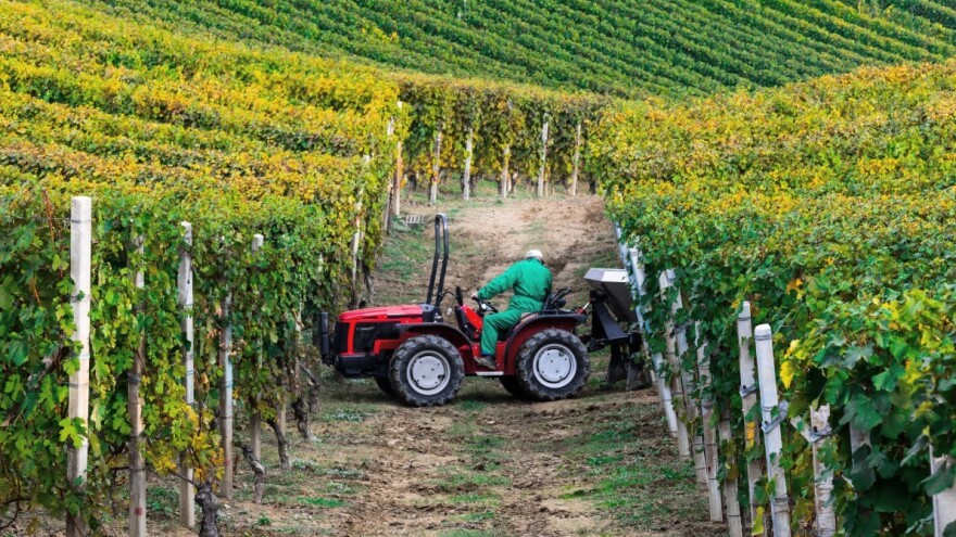 Vinarski sektor dobiva veliku potporu, a ne čini ništa za okoliš