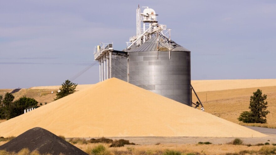 Na kraju 2019. godine, izvoz ukrajinskih žitarica uglavnom stabilan