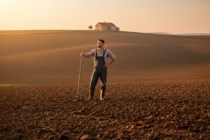 Depopulacija ima i dobre strane. Jer manje je više?