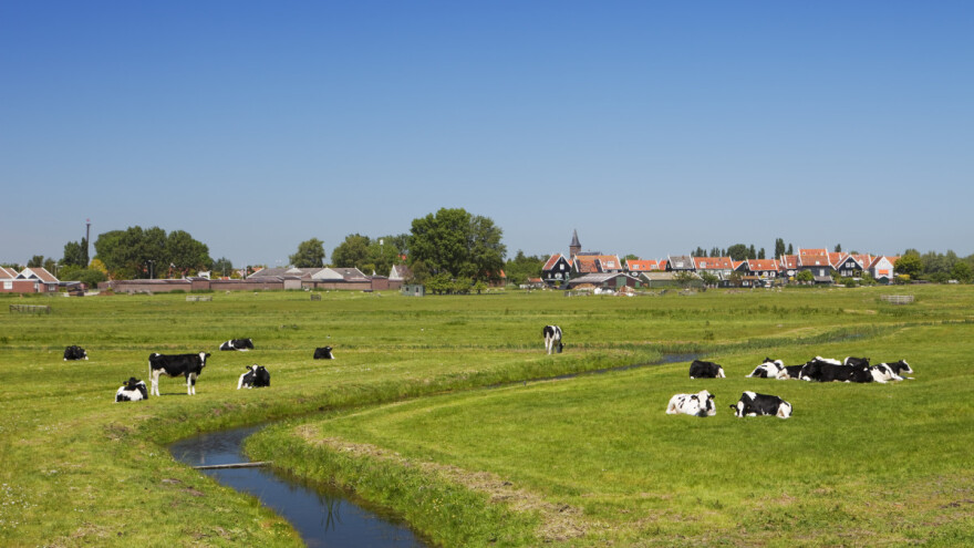 Oduzimanjem poljoprivrednog zemljišta žele očuvati prirodu u Nizozemskoj