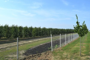Zaštita voćnjaka od divljači: Žica do metar i po, ukopana do pola metra, na vrhu i bodljikava?