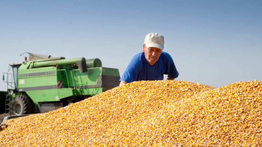 EU: Još 100 miliona evra za poljoprivrednike pogođene uvozom iz Ukrajine