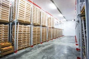 Objavljen poziv za iskaz interesa za logističko-distributivne centre za voće i povrće