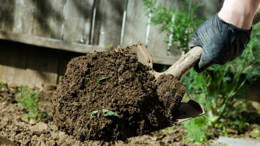 Kako odabrati pravi ašov, nasaditi dršku i naoštriti sječivo?