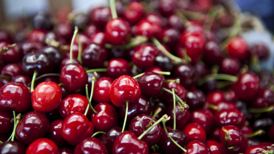 Na mostarski sajam "Dani trešnje" stiže 300 izlagača iz BiH i regiona