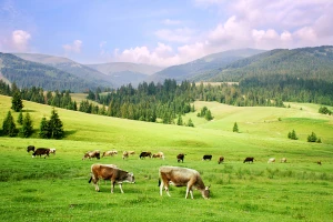Zakon o biocidnim proizvodima za bolju zaštitu životne sredine