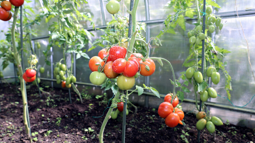 Plastenička proizvodnja Malovićima omogućuje sigurnu proizvodnju