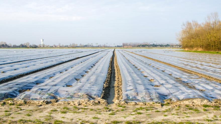 Plastika u poljoprivredi sve više zagađuje zemlju - nema alternative?