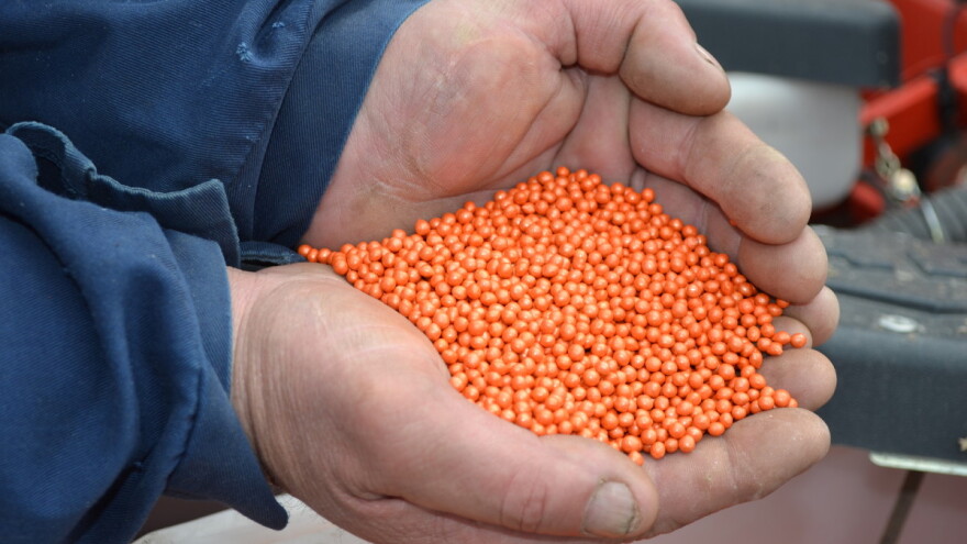 Što donosi pravilnik o stavljanju na tržište sjemena repa?