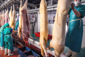 15 milijuna kuna za zbrinjavanje nusproizvoda nastalih u objektima za klanje životinja