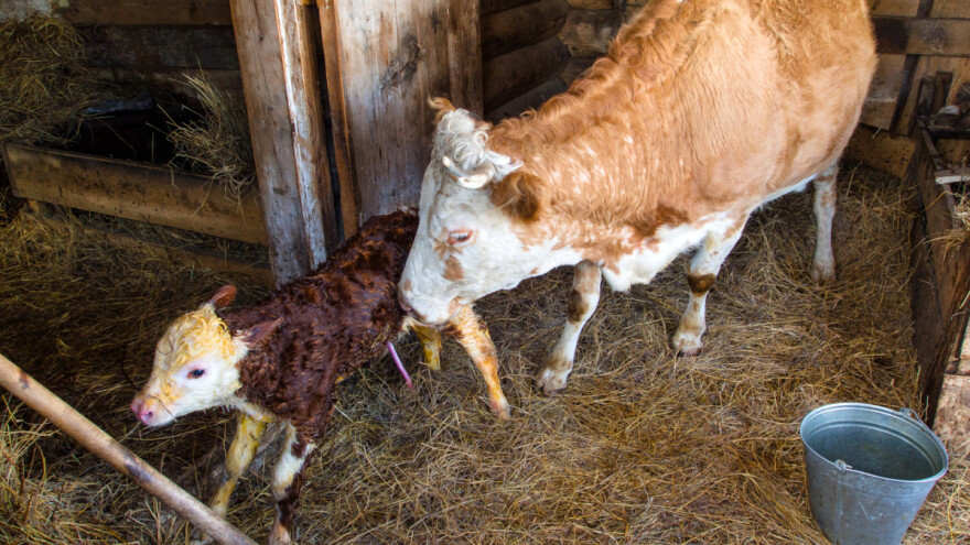 Subvencije opštine Topola - najviše za reproduktivni materijal i fizičku imovinu