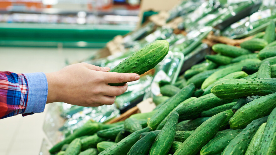 Ruski krastavci preko Makedonije stižu u Poljsku