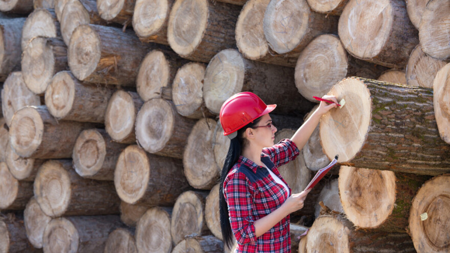 Preddiplomski stručni studij drvne tehnologije od sljedeće akademske godine u Vinkovcima