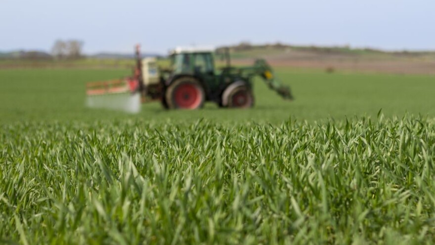 Testira se sistem za zaštitu ozimih žitarica od žute patuljavosti ječma