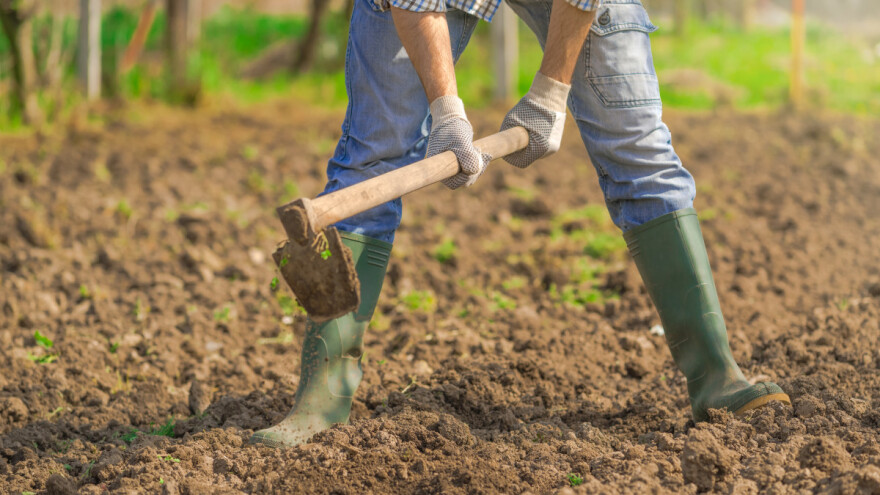 Apsurd lošeg prijevoda: Poljoprivrednicima zabranjena motika?
