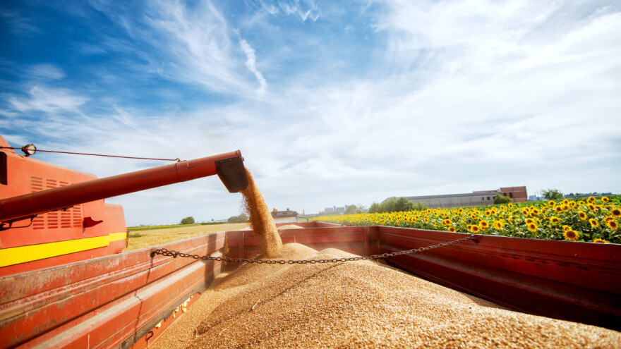 Putin zbog rasta cena osnovnih namirnica uvodi kvote i porez na izvoz žitarica?