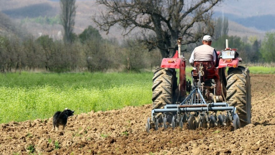 Istraživanje pokazalo - Radnici u poljoprivredi i prehrambenoj industriji najveće žrtve COVIDa-19