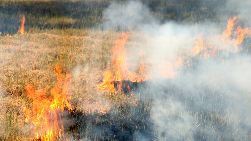 Povećan broj požara, opožarenih površina i stradalih
