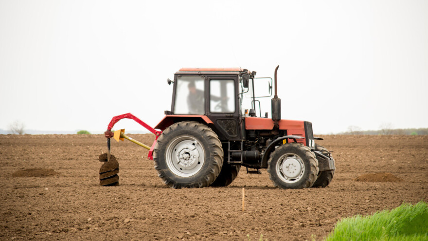 Sadnja voća: Šta je bolje - burgija, bager ili sadnja u brazdu?