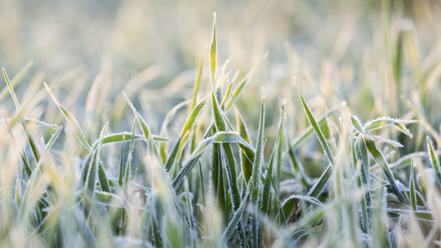 Danju toplije u cijeloj zemlji - gdje su padavine?