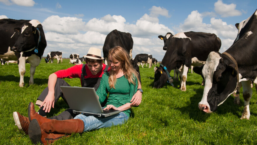 MPS pomaže mladima prilikom konkurisanja za subvencije