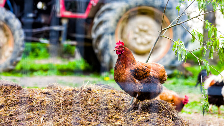 Pregazio ga traktor u vlastitom dvorištu