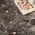 Povrće mjeseca ožujka: Tri metode uzgoja krumpira
