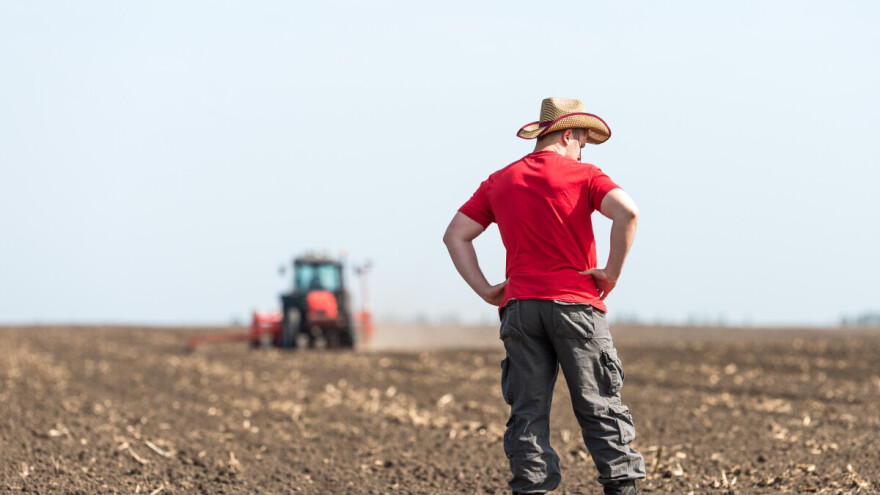 Vapaj bh. poljoprivrednika: Kilogram pšenice košta kao jedna kifla, podržite domaće