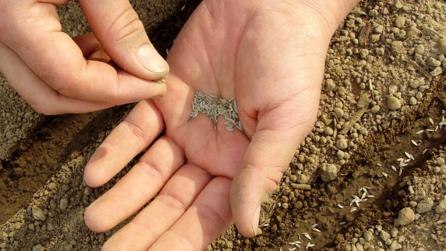 Italijani ne daju svoju proizvodnju semena poznatoj kompaniji u kineskom vlasništvu
