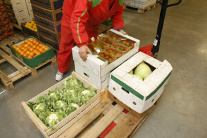 Razlog više za kupovinu domaćih proizvoda: U BiH se uvozi i štetna hrana?!