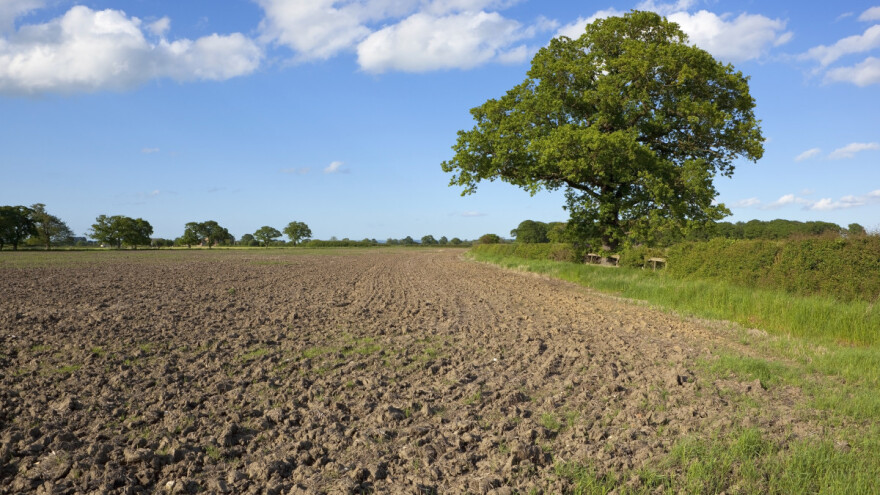 Tko najviše zemlje drži na ugaru? Saznajte tko je u TOP10 u Hrvatskoj