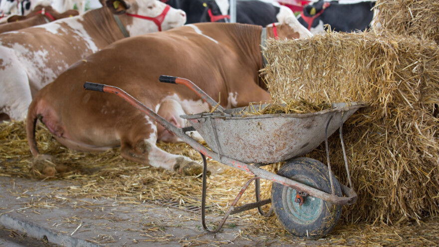 Za zbrinjavanje, rukovanje i korištenje stajskog gnojiva osigurano 67 milijuna kuna
