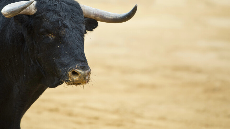 Bik usmrtio muškarca (58) na farmi kod Nove Gradiške