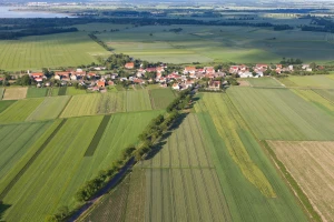 Prvi krug nadmetanja za poljoprivredno zemljište u Sremskoj Mitrovici