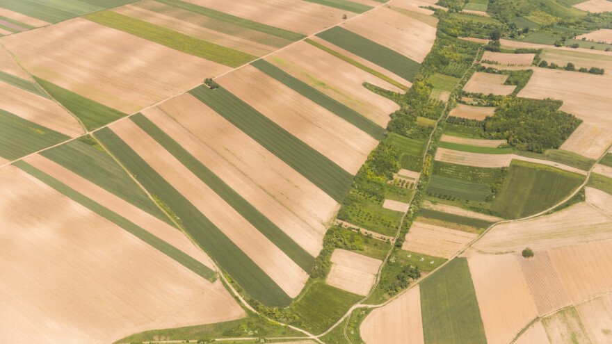 U Novom Kneževcu ponuđeno preko 2.000 ha državnog zemljišta, koliko je u drugim mestima?