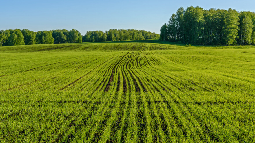 Minus je rizičan za zob - bolje birati proljetne forme