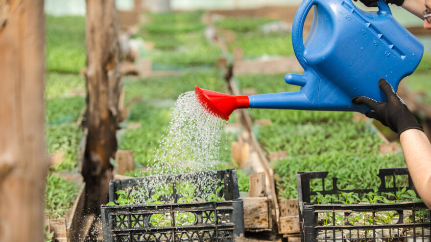 Kako se poljoprivredni proizvođači trebaju nositi sa virusom Covid-19?