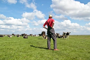 Hrana se baca, a ne stvaramo nove zalihe - popusti čvor, majstore Pero