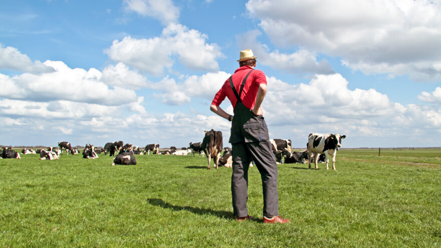 Hrana se baca, a ne stvaramo nove zalihe - popusti čvor, majstore Pero