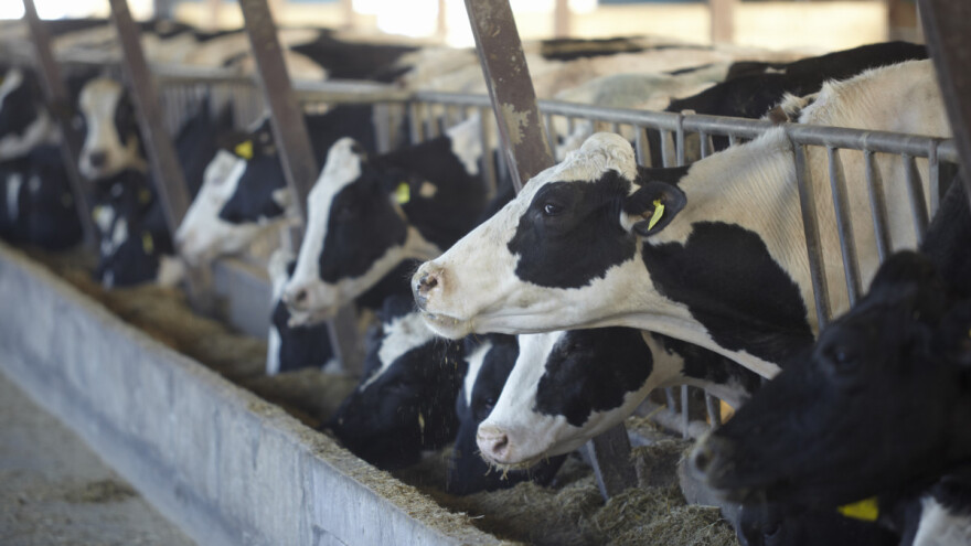 Ministarstvo: Uvećane će potpore stočarima biti isplaćene već ove godine