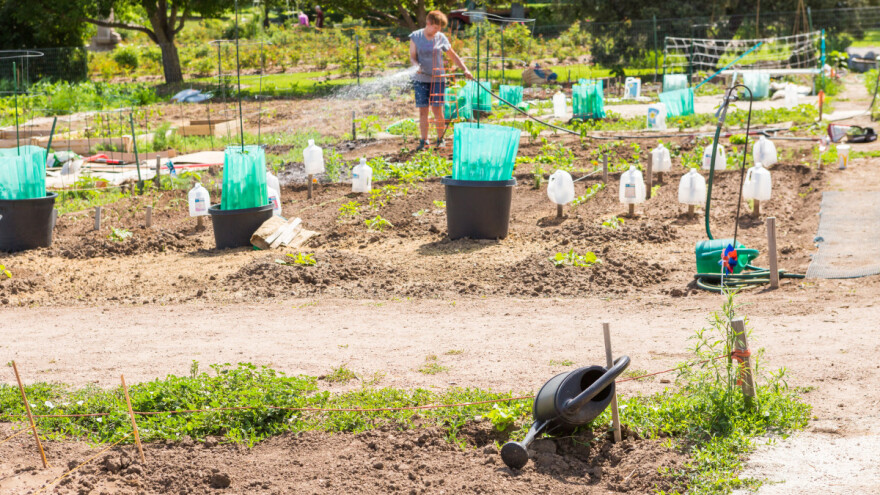 Počeo projekat razvoja urbane poljoprivrede u četiri zemlje regiona