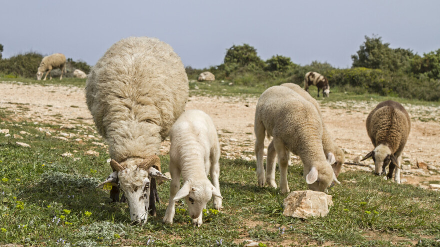 Šta kažu meteorolozi - kada stiže stabilizacija vremena?