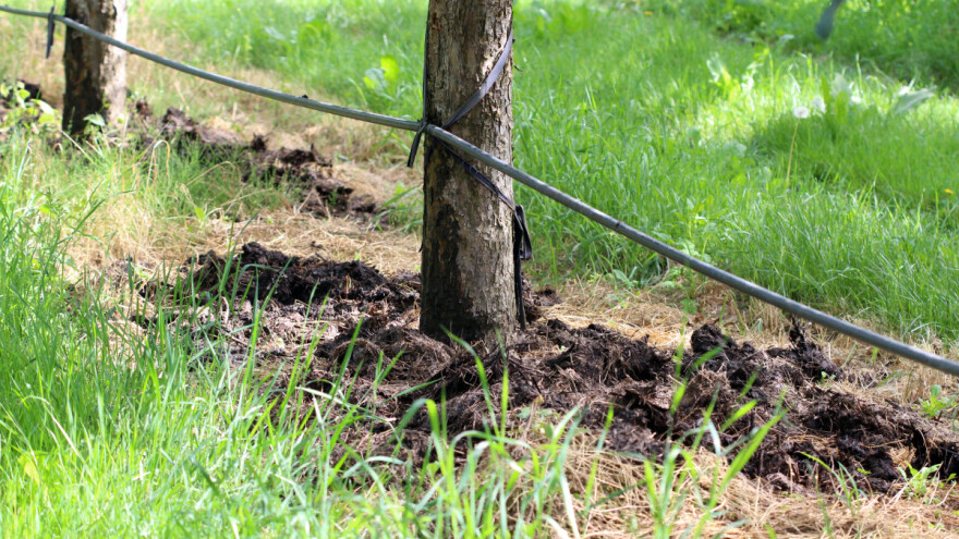 Redukcija mineralnih đubriva i herbicida u voćarstvu - kako?