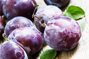 Što sa šljivama nakon berbe? Prije svega, što prije ih ohladite