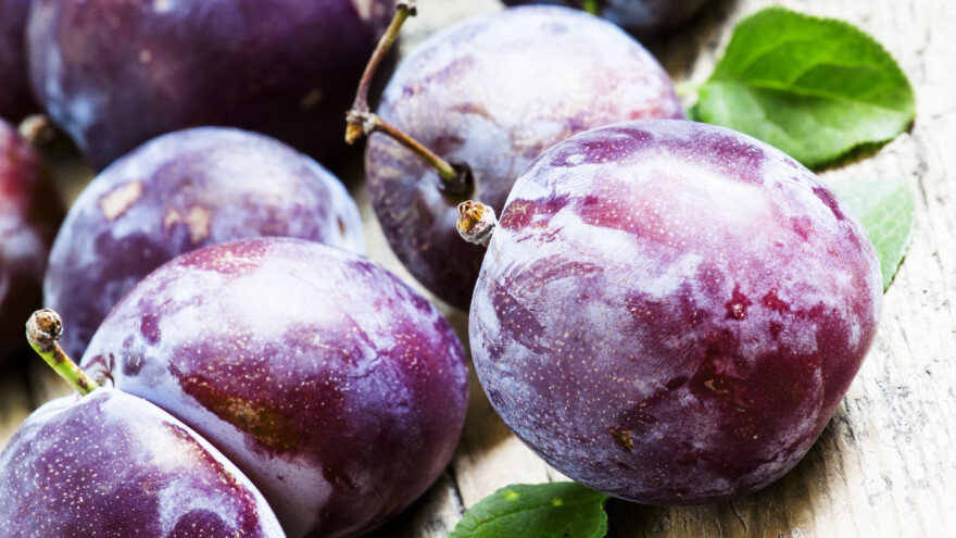 Što sa šljivama nakon berbe? Prije svega, što prije ih ohladite