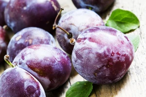 Šta je potrebno uraditi sa šljivom posle berbe?