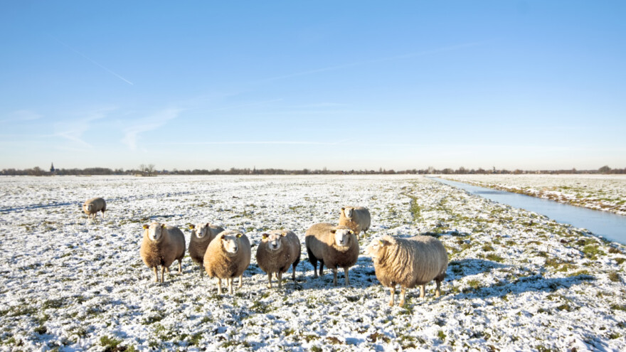 Evropu čeka još jedna topla zima - gde će biti snega?