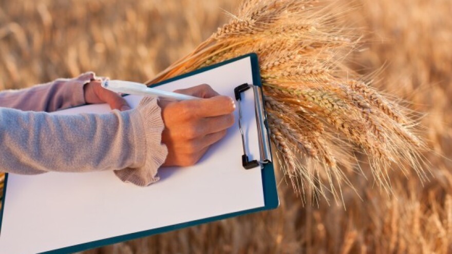 Rezultati uroda pšenice 2013./14.