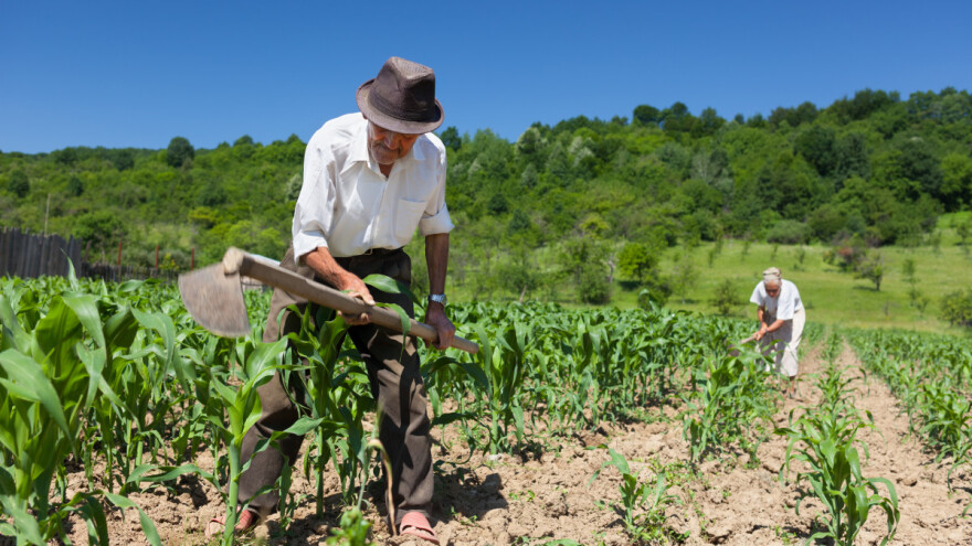 Vlada neformirana, ministar stari ili novi, a šta će poljoprivrednici?